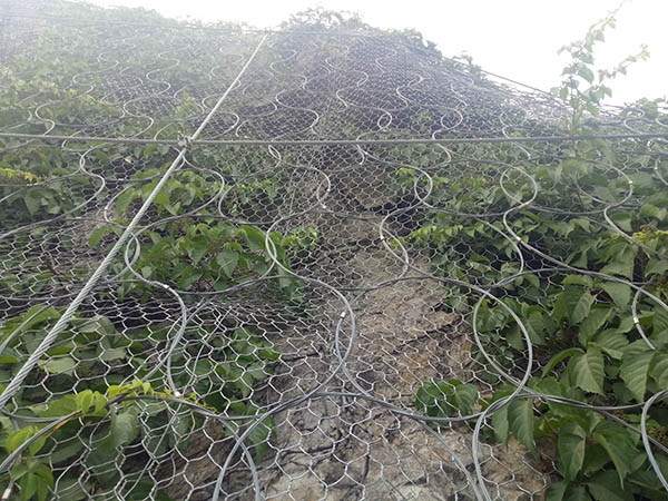 Rockfall Netting
